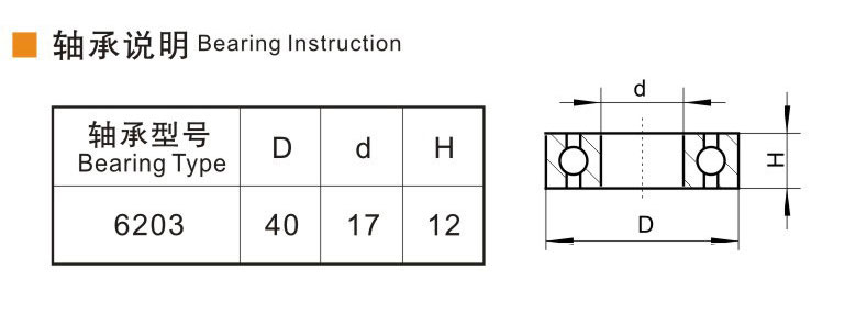 6203.jpg